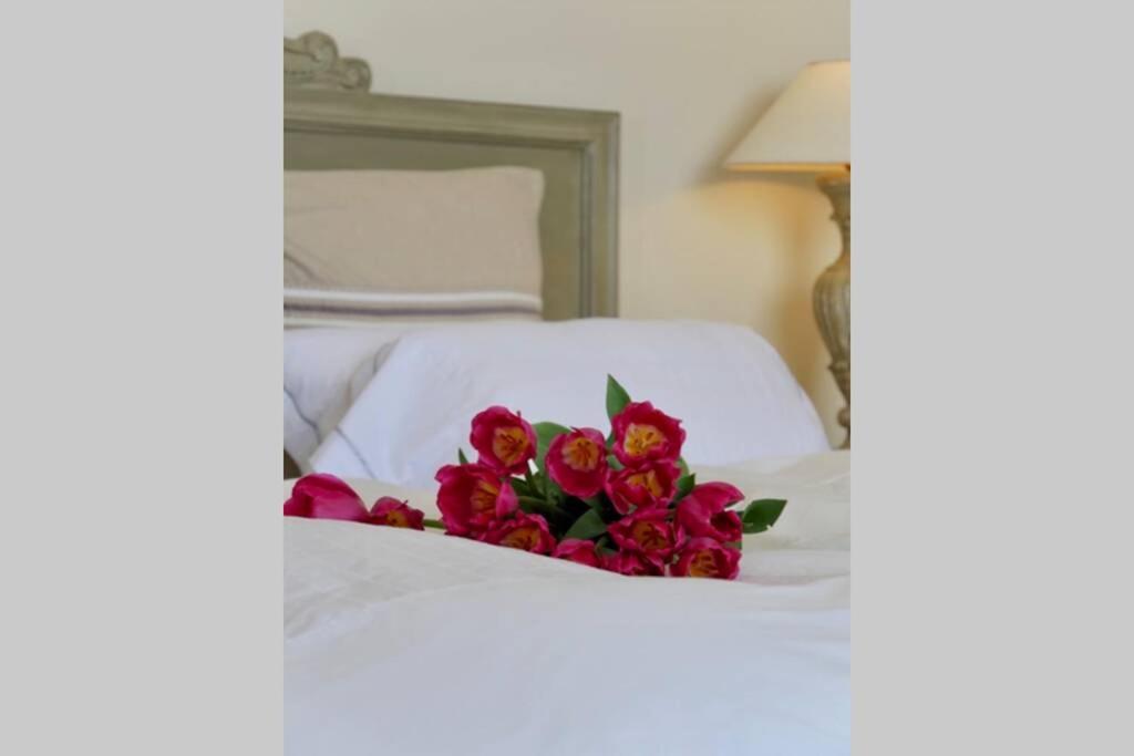 Bord De Mer - Ac, Wifi, Chic, Sea View, Beach 2 Minutes Walk Antibes Dış mekan fotoğraf